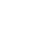 The Ostrich