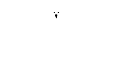 The Raven